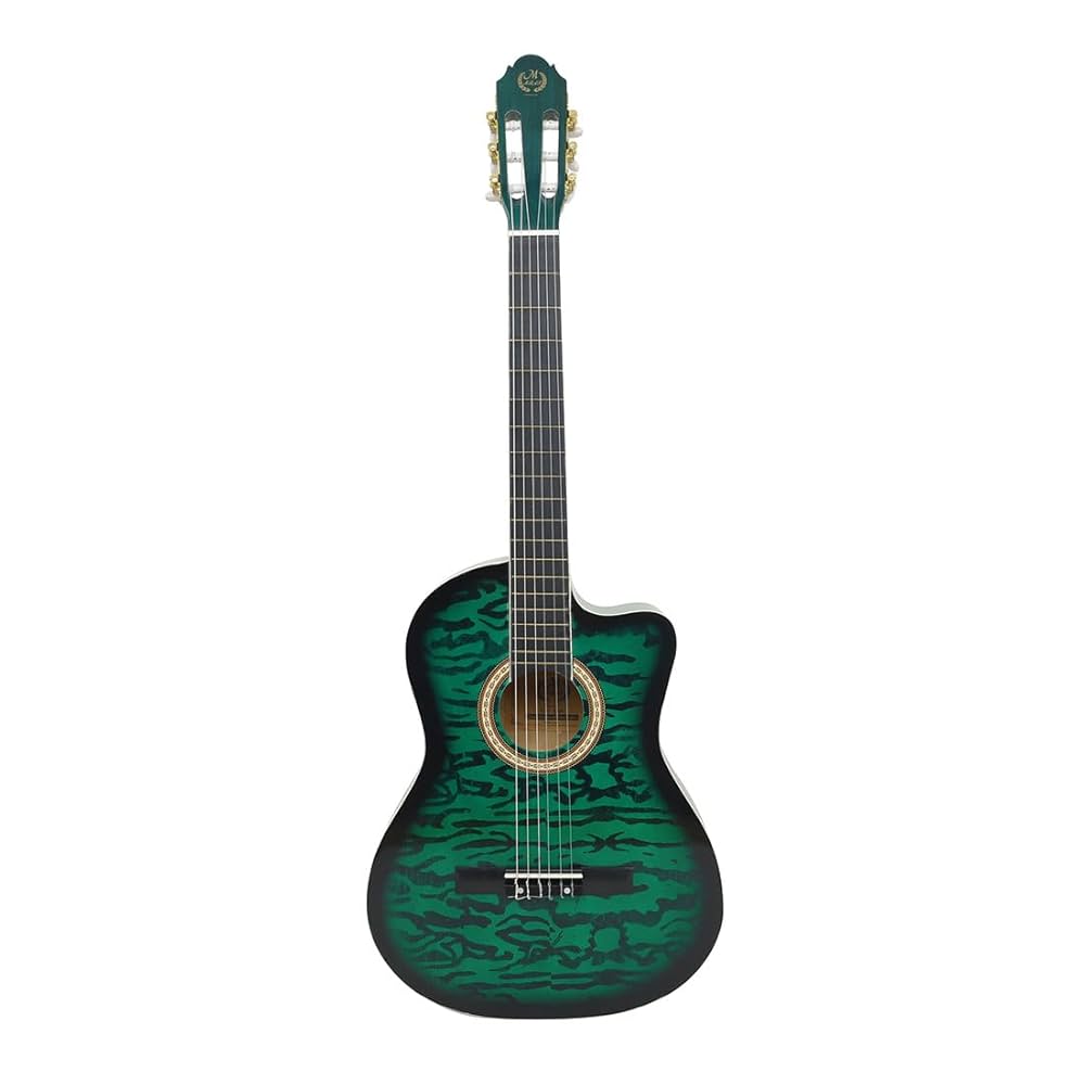 大幅値下げ！The Classical Guitar A Complete 大幅値下げ！The Classical Guitar A Complete